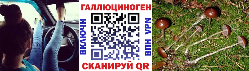 как найти   shop наркотические препараты  Псилоцибиновые грибы Psilocybine cubensis  Катайск  МЕГА сайт 