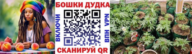 Канабис ГИДРОПОН  Катайск 